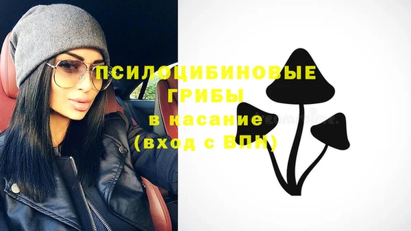 PSILOCYBIN Алзамай