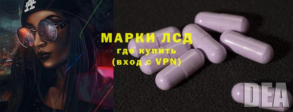 PSILOCYBIN Алзамай