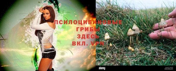 круглые Алексеевка