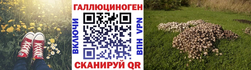 мега рабочий сайт Енисейск Галлюциногенные грибы Psilocybine cubensis купить наркоту