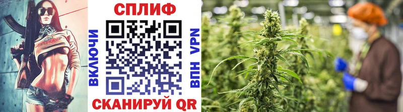 купить закладку  МЕГА ссылка  МАРИХУАНА OG Kush  Енисейск 